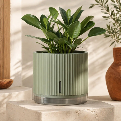 SunSip Self-Watering Planter product view