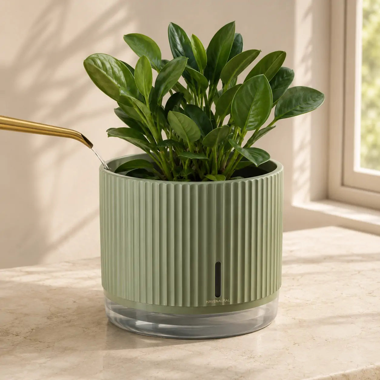 SunSip Self-Watering Planter in a styled home setting