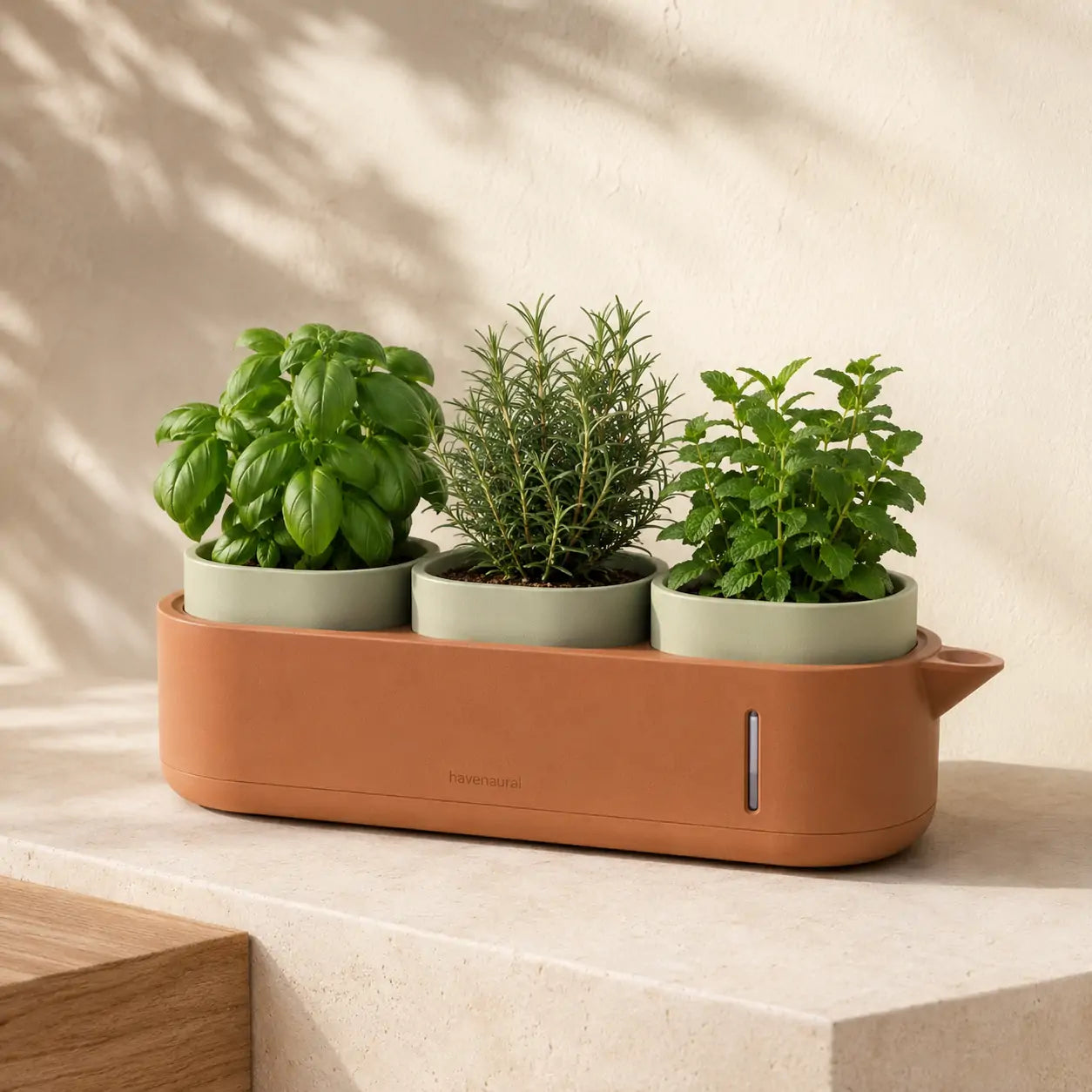 TerraPour Self-Watering Herb Station product view