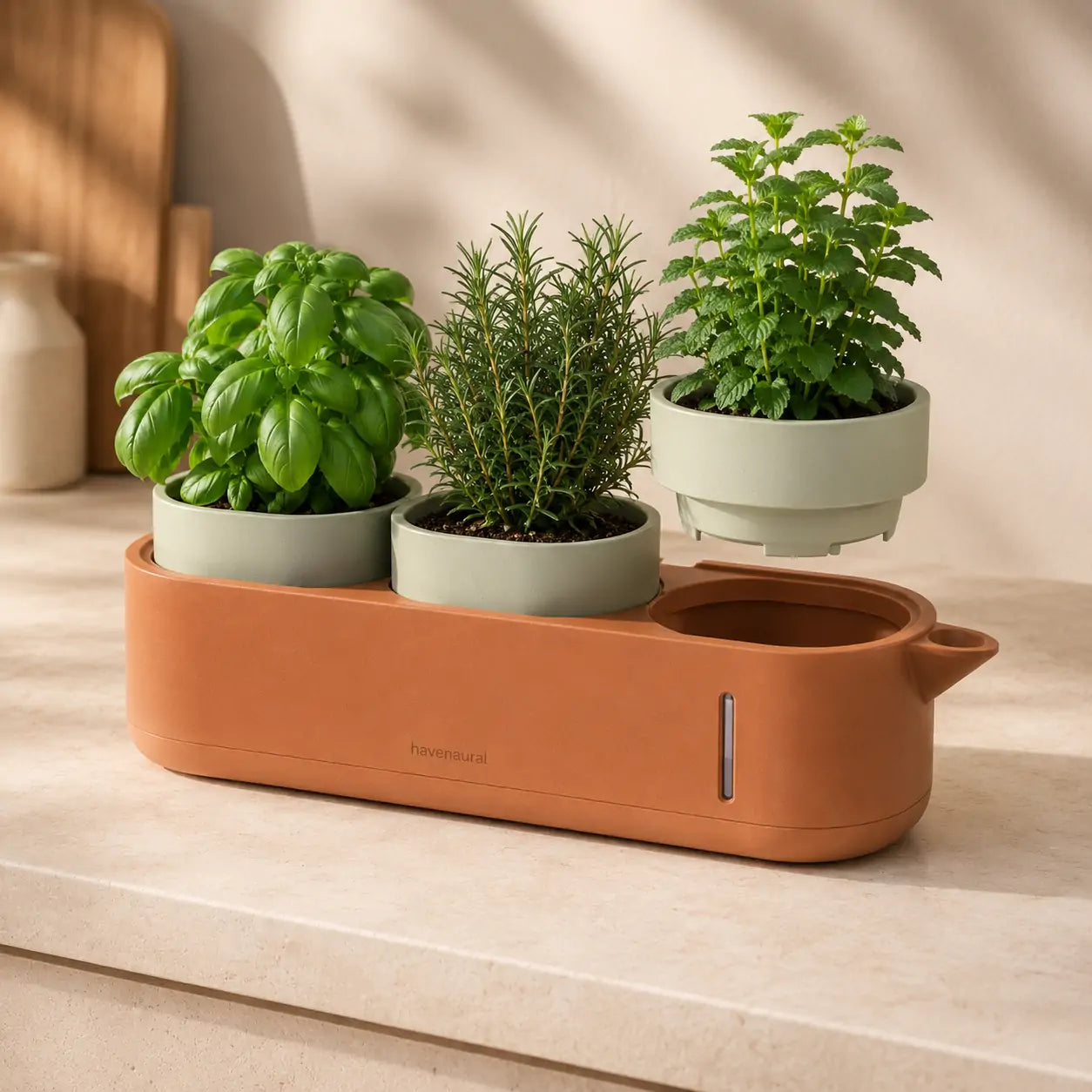 TerraPour Self-Watering Herb Station in a styled home setting